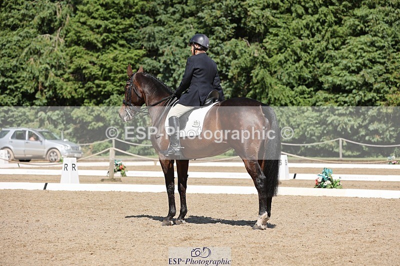 240719-155517-02986 - 237-Sue_Lanz-Wellshead_Foxtrot