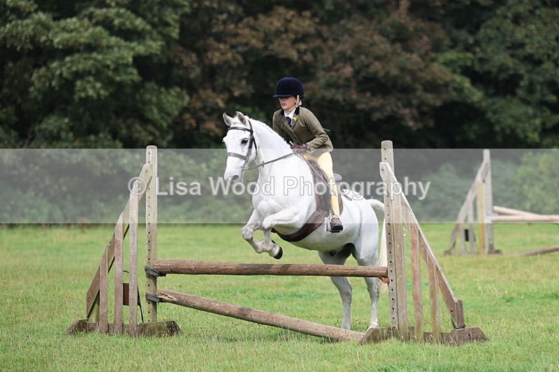 3E7A5792 - Class 26 and 27: 70cm Working Hunter