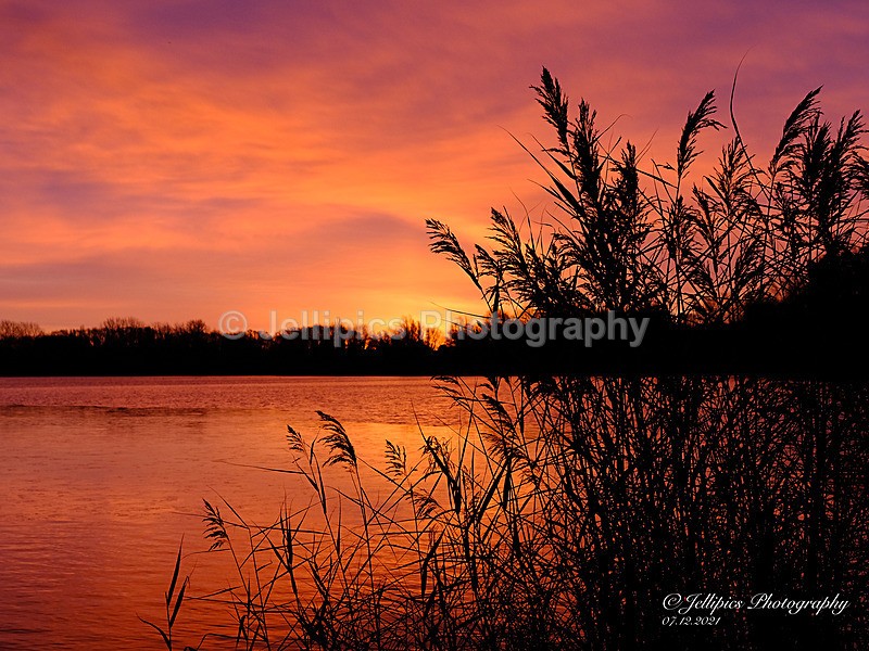  - Landscapes
