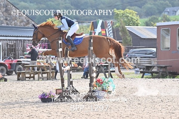 BPP_1297 - CLASS 3 Senior BritiNovice/ 90cm Open