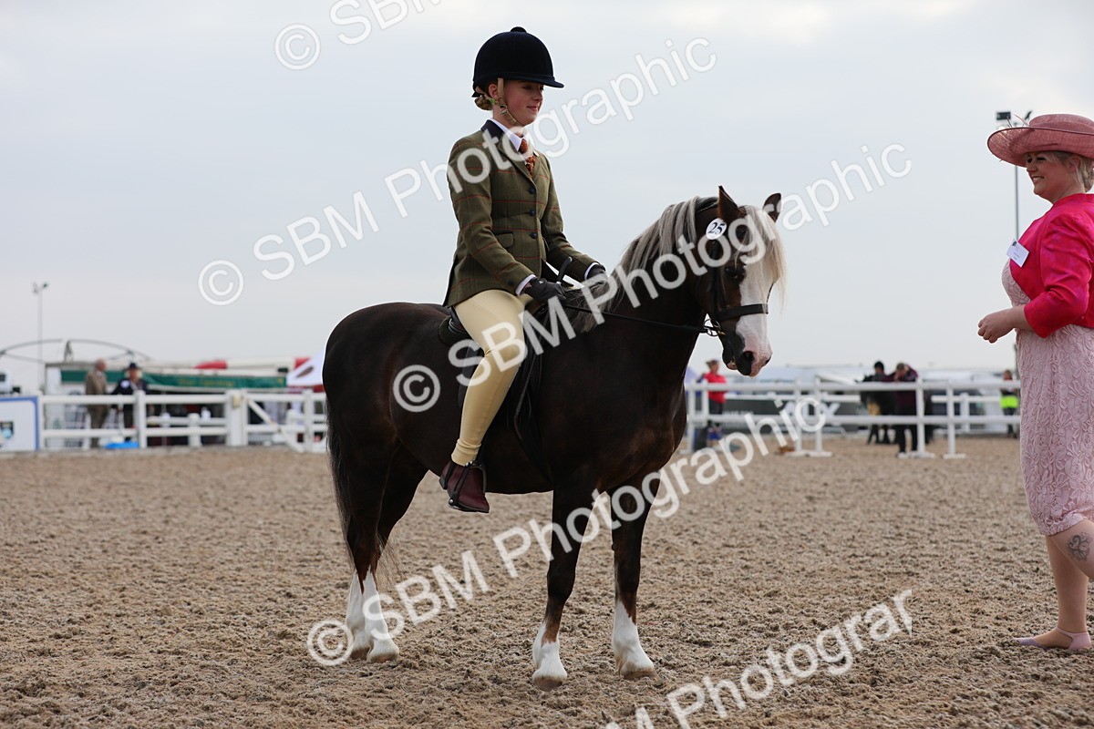 SBM_09632 - Class 301 Ridden M&M -Small Breeds