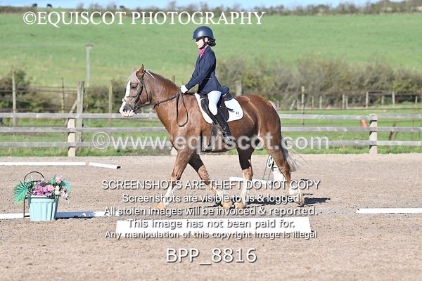 BPP_8816 - SHORT ARENA