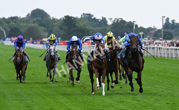 230825-245 Revival Power - Race 6 4.45pm Julia Graves Roses Stakes