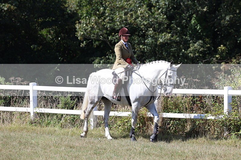 3E7A6331 - Working Hunter Championship