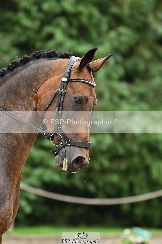 240811-112340-05164 - 146-Anna.Johannson-Kapellmeister