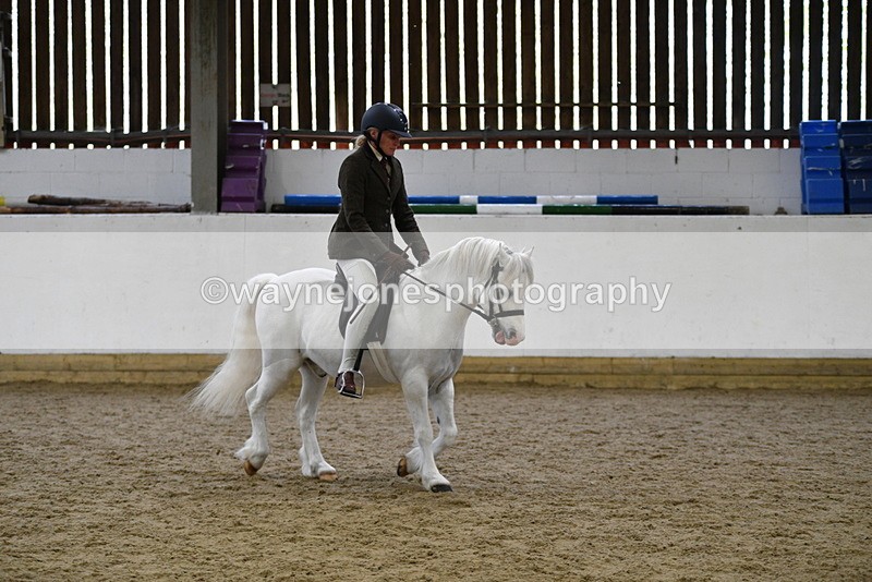 WJ5_6266 - Class 9 Ridden Veteran