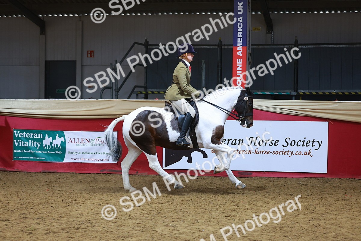 SBM_09409 - Class 102 - HOYS Veteran Qualifier - Ridden Veteran