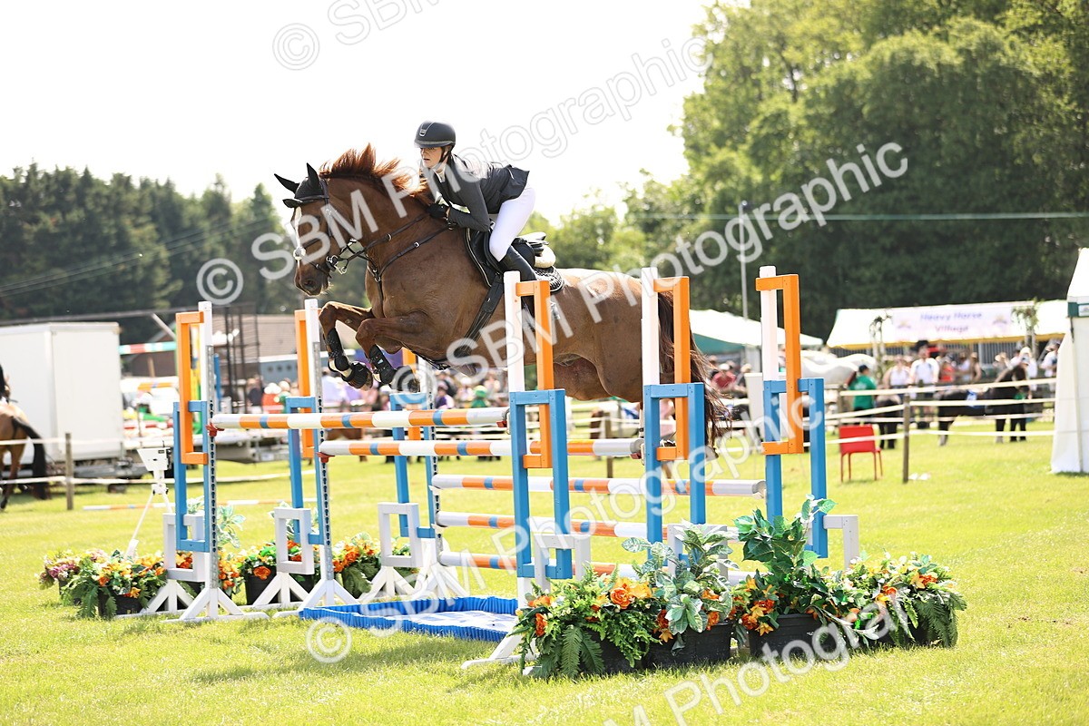 SBM_03191 - Class 201 - British Horse Feedds Speedi Beet HOYS Grade C