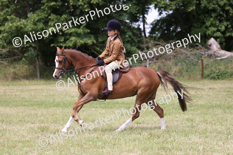20260614-2827 - Class 22 - Open Working Hunter