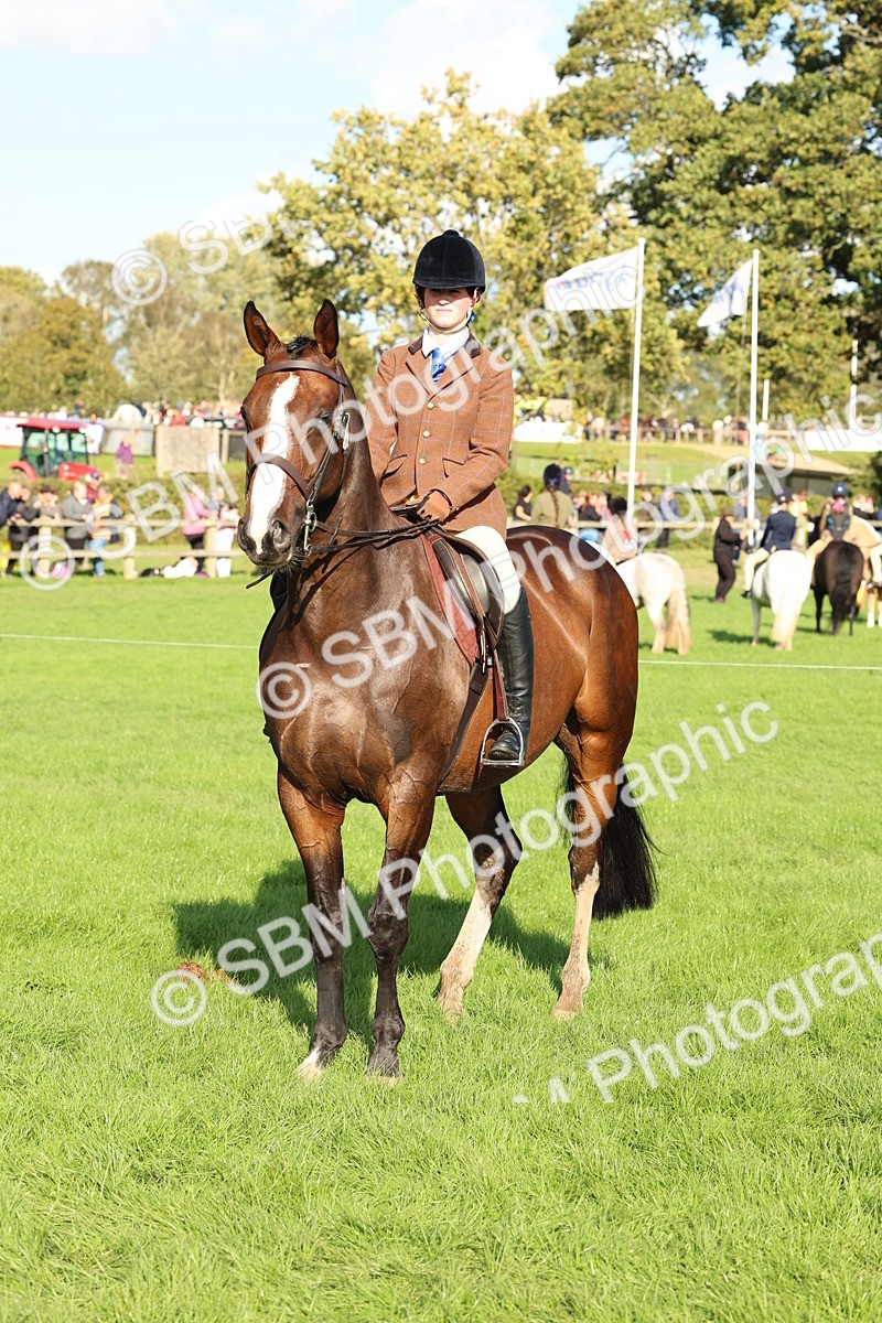 SBM_50173 - S34 - Novice & Newcomers Working Hunter
