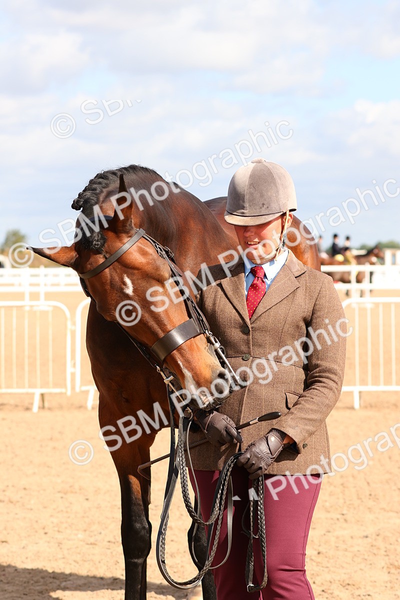 SBM_11739 - Class 208 - IH Veteran Horse