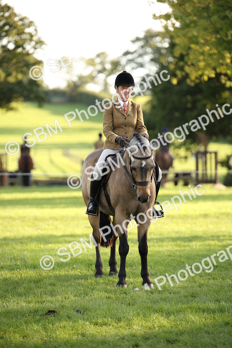 SBM_54439 - S27 - Mature Veteran - Ridden