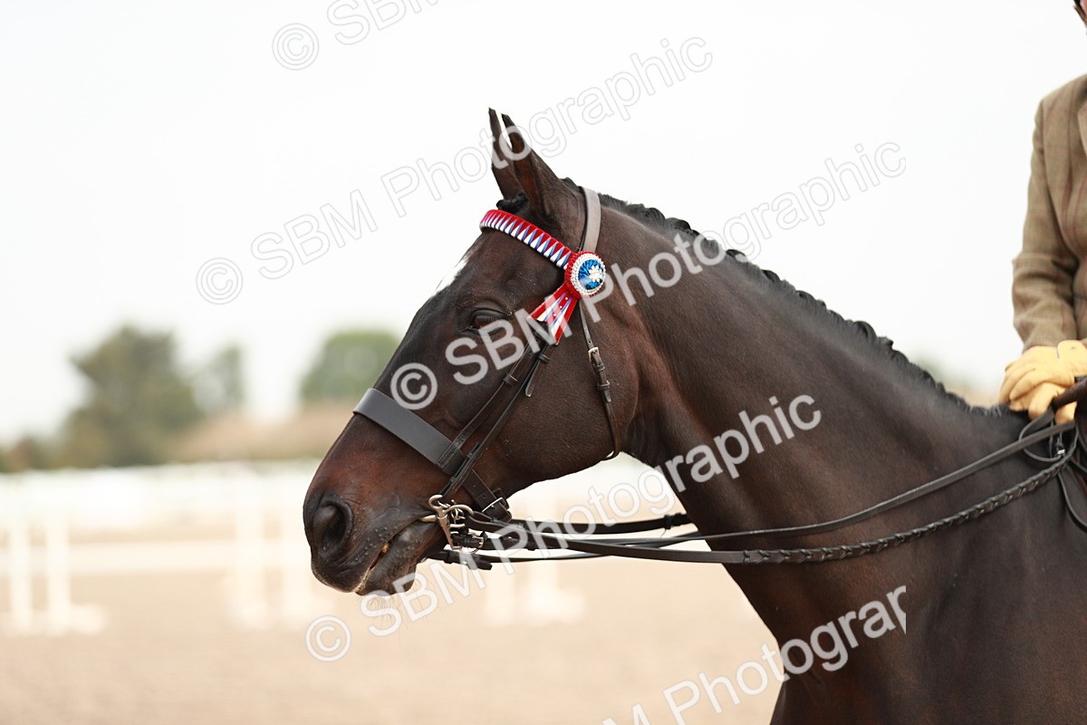 SBM_09436 - Class 202 Best Turned Out Ridden