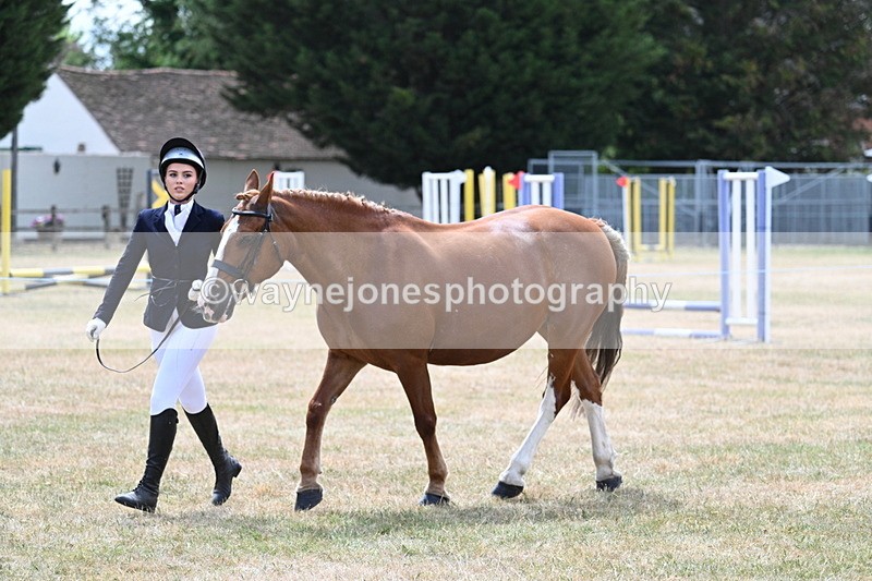 WJ7_1979 - Class 4a Prettiest Mare 14.2hh and over hand