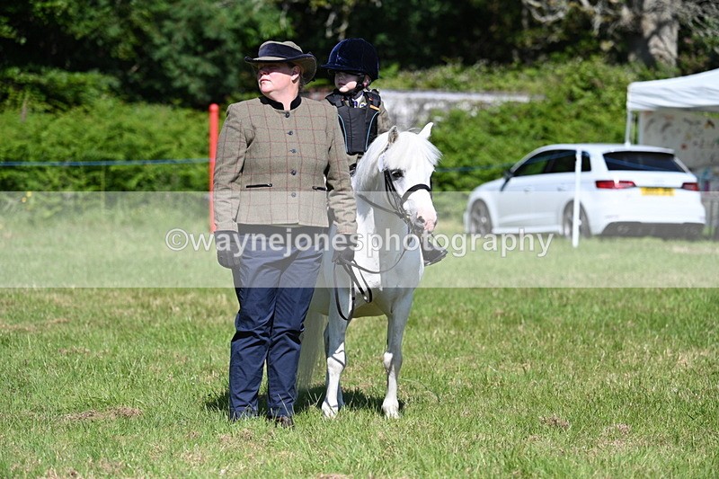 WJ7_0590 - Class 8 First Rally Pony