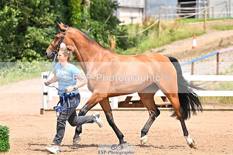 240718A-105319-01845 - Trot Up 1pm to 2pm