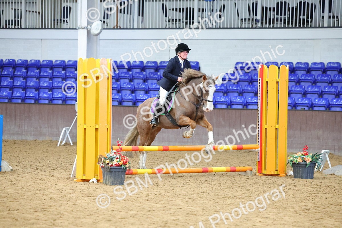 SBM_000390 - Class 5 - 50cm - BRC Championships