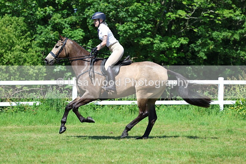 3E7A6946 - Class 30: Novice Working Hunter
