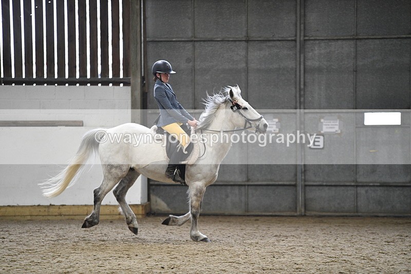 WJ5_7925 - Class 13 Ridden Part Breed