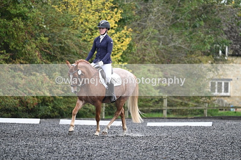 WJ7_3721 - Time 11:04 to 11:38