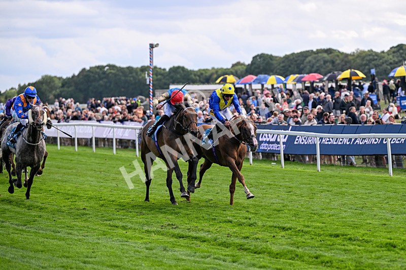 210826-Race 5-Plage De Havre-6753 - Race 5 16.10pm Assured Data Protection Handicap