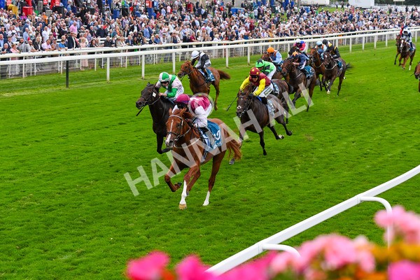 230823-Race 7-Zoulu Chief-0958 - Race 7 5.20pm Sky Bet Nursery Handicap