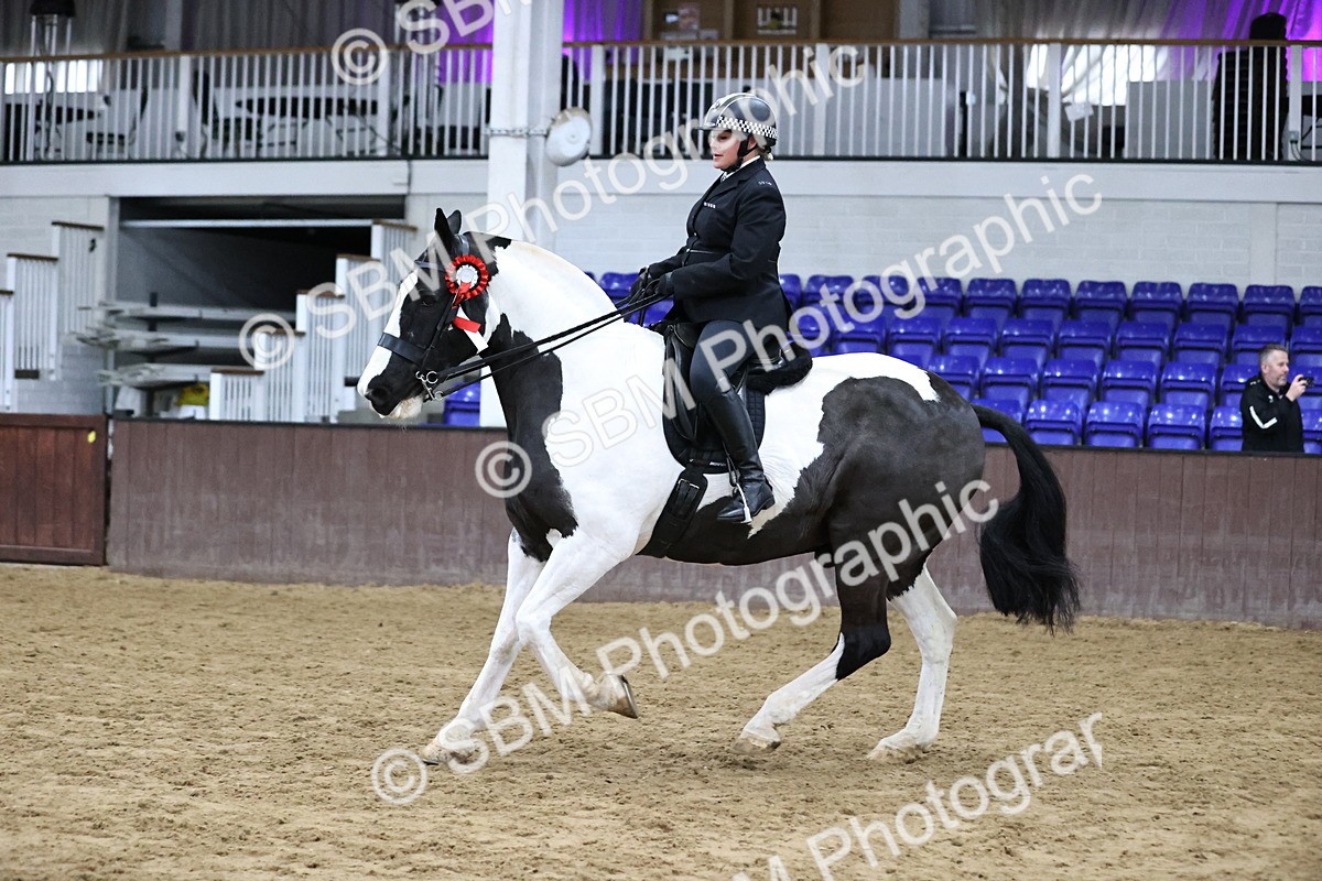 SBM_6409 - Class 45-42 - Ridden Irish Breeds-Ridden Cob