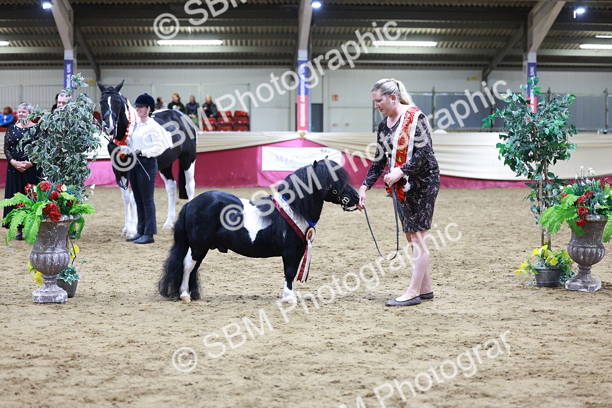 SBM_20868 - Class L - Coloured Champ