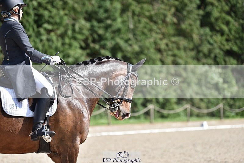 240605-161836-01388 - Cls 11-13 FEI PSG and Inter