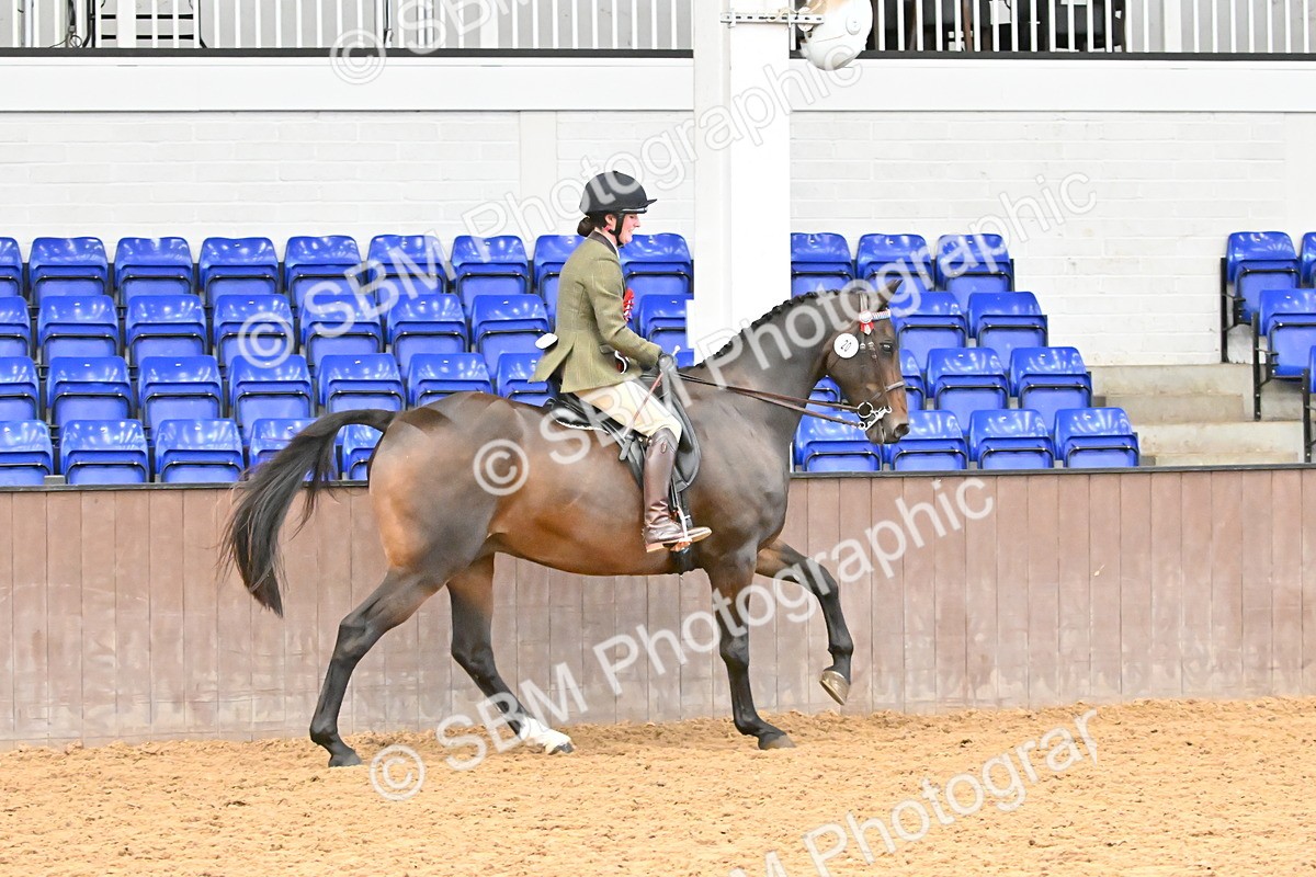 SBM_001564 - Class 30,31 - SSADL Ridden Seniors