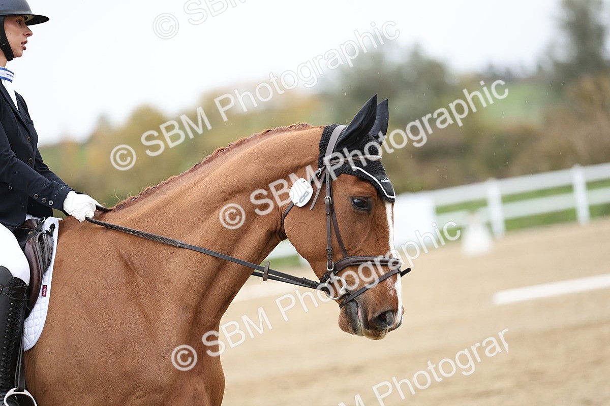 SBM_004534 - Class 7 - Prelim 4