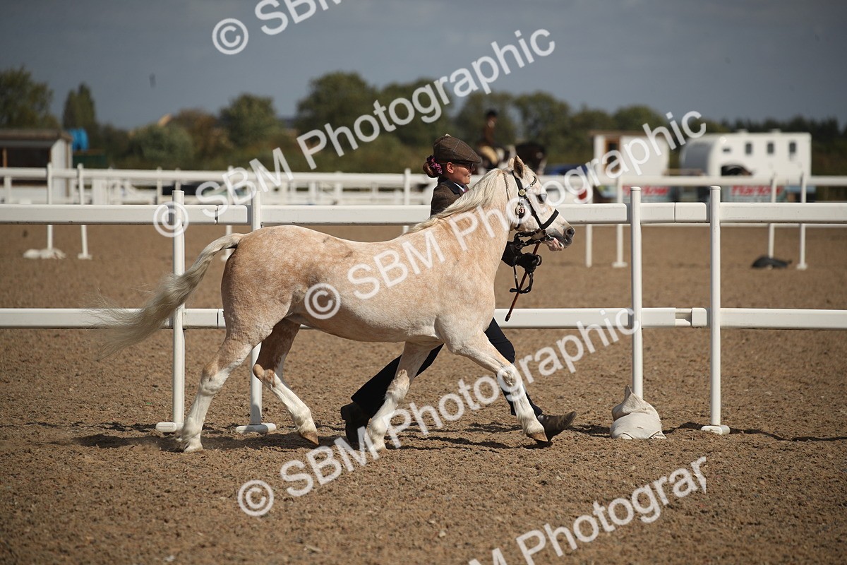 SBM_23391 - Class 604 - 2026 - Area IH Diamond