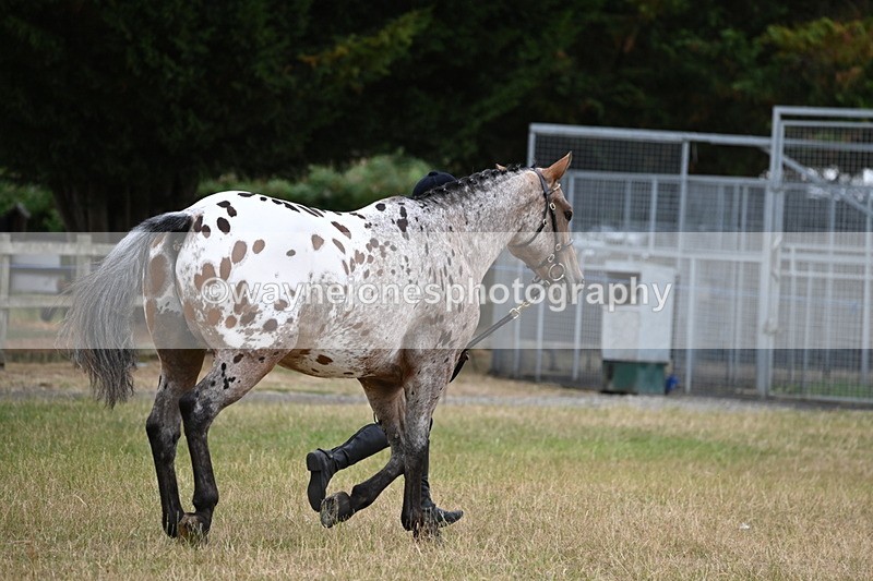 WJ6_8508 - Class 10 Coloured in Hand