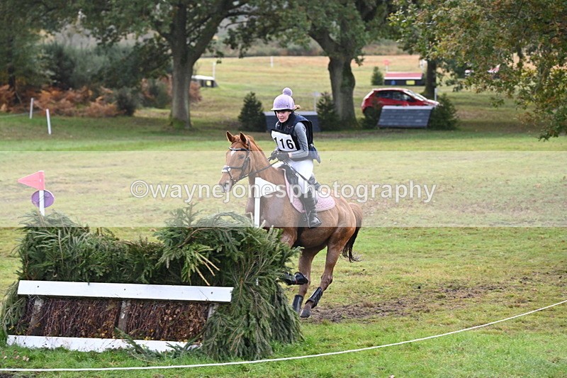 WJ6_1925 - 80cm Cam 1 Time 10:08 to 10:45