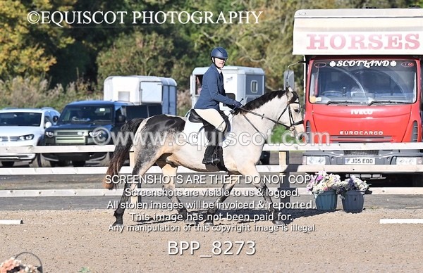 BPP_8273 - SHORT ARENA