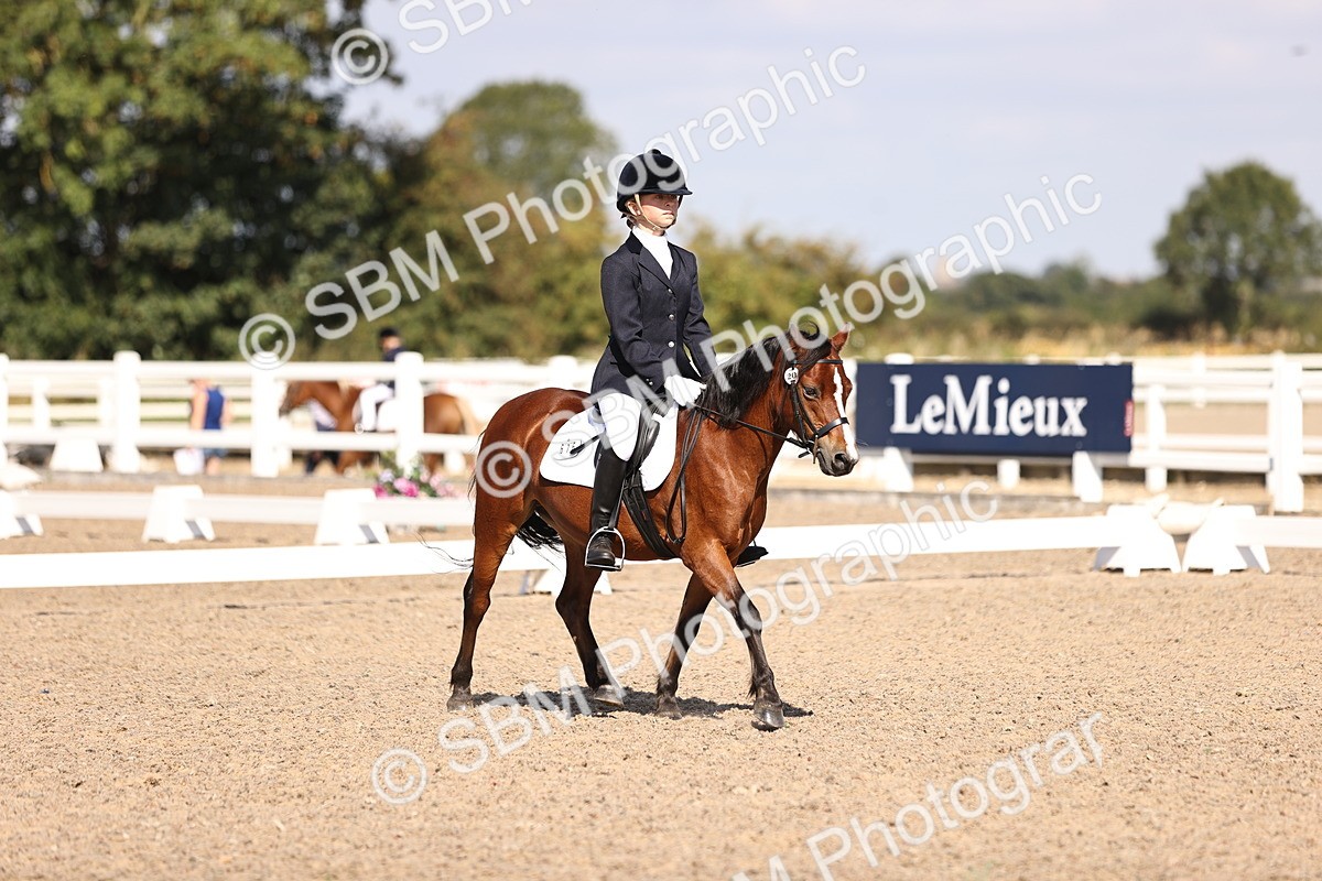 SBM_03500 - CLass 35 Intro 3