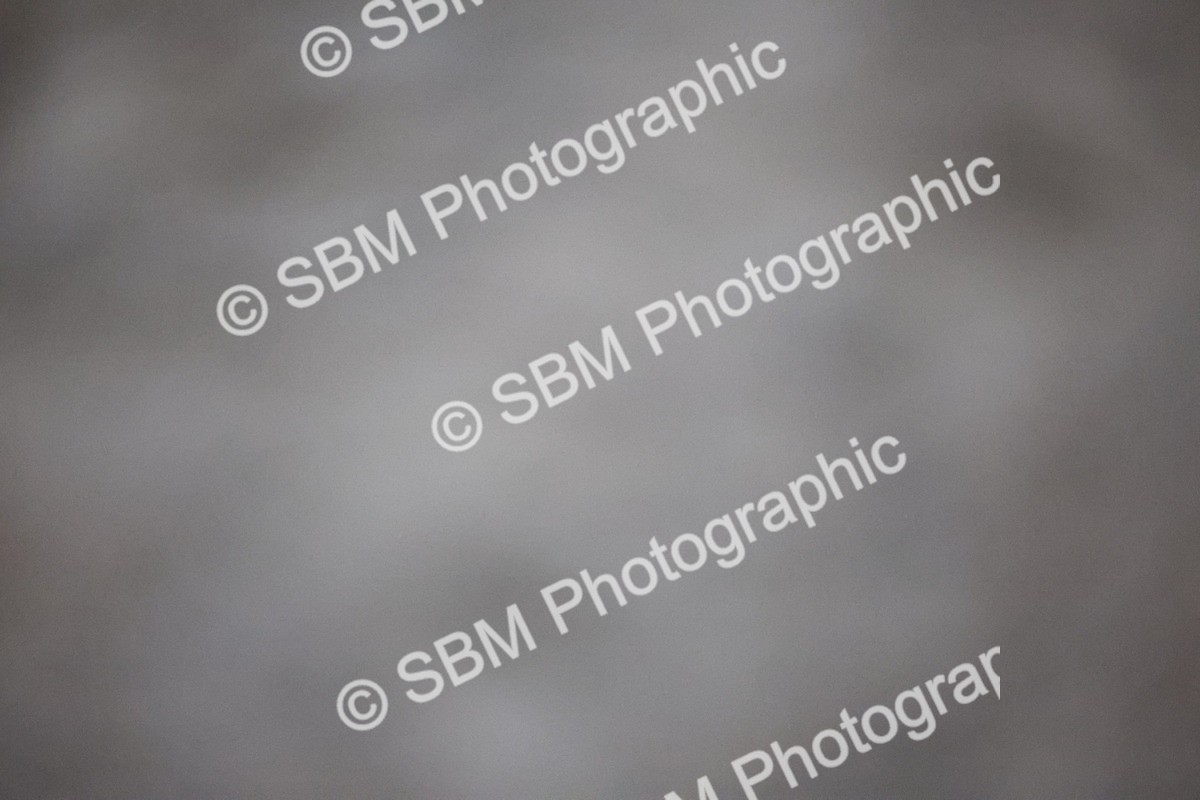 SBM_006510 - Evening Performance