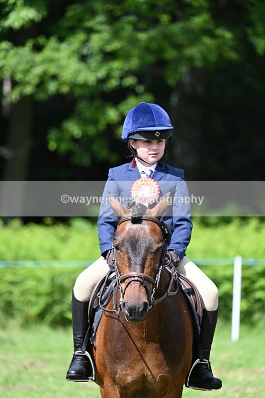WJ7_0921 - Class 8 First Rally Pony