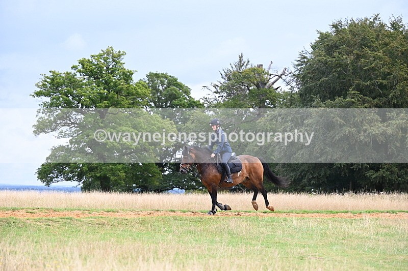 DSC_4724 - Time at Statue 11:10 to 11:42