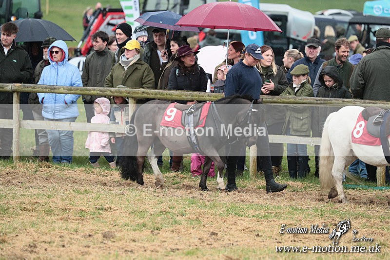 SHETPR 210425 50 - Shetland Ponies Paxford Races 21/04/25