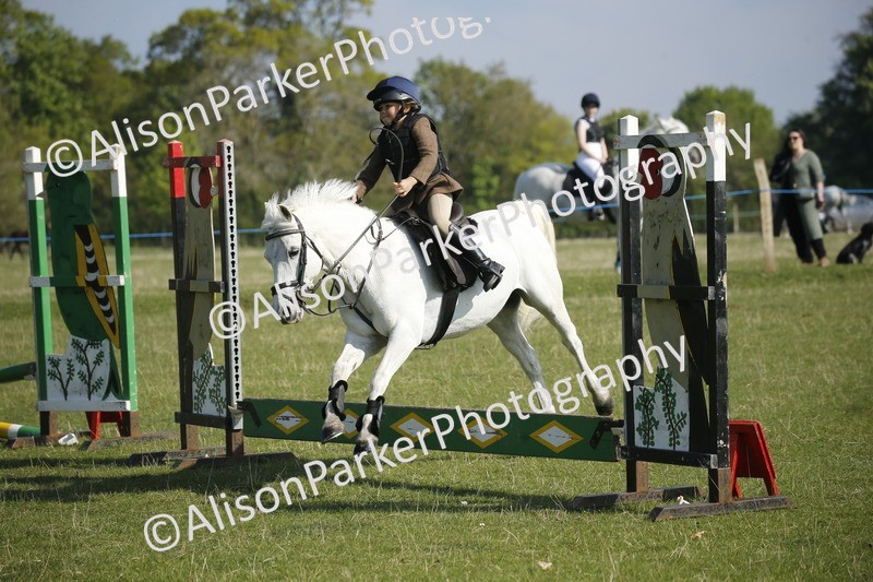 20250427-0347 - Class 12 - Rookie Jumping 40cm