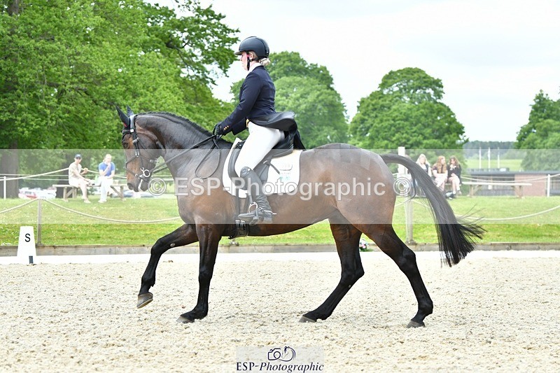 230525-124441-04263 - 209-MONBEG_EBONY-Molly_Fletcher-WEDTrotUp+DR