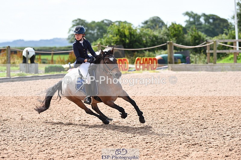 230716A-100348-01944 - Cls 35 Springboard 128cm & 138cm