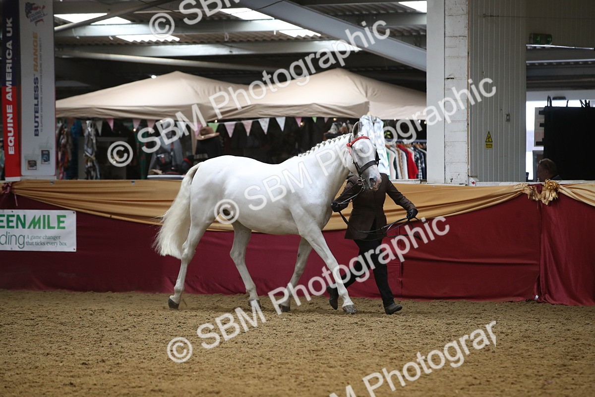 SBM_05714 - Class 9R - Regional IH Pre-Vet