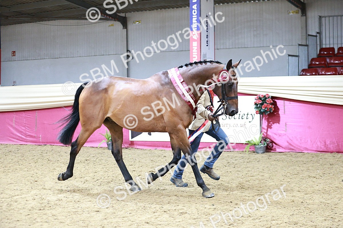 SBM_06674 - Regional - IH Champs