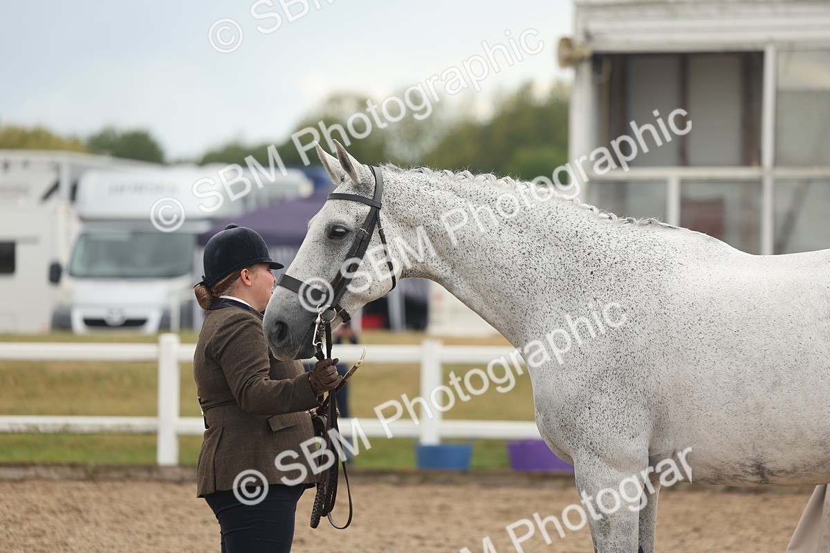 SBM_07928 - Class 28 - IH Veteran Horse