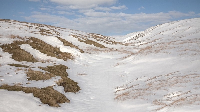 Snowy Dales_0157 - Spirit Element