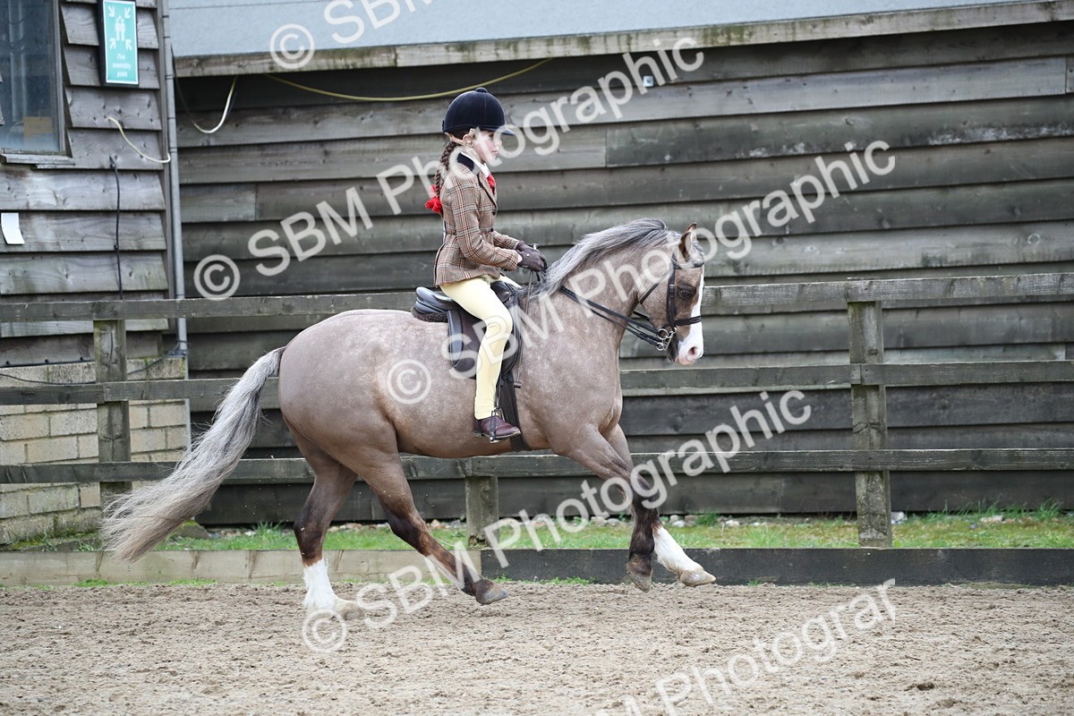 SBM_005992 - Class 10-13 - RIHS Small Large Breeds
