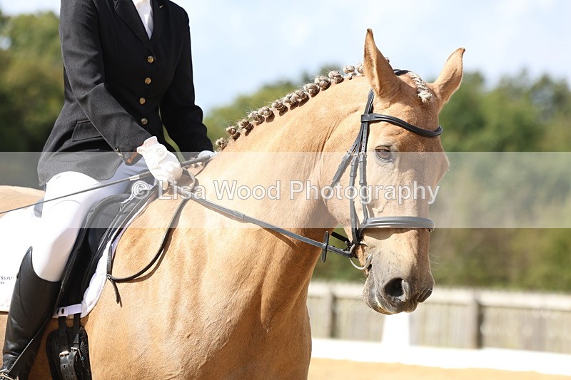 3E7A2976 - Class 5: Prelim 6 Section B Championship