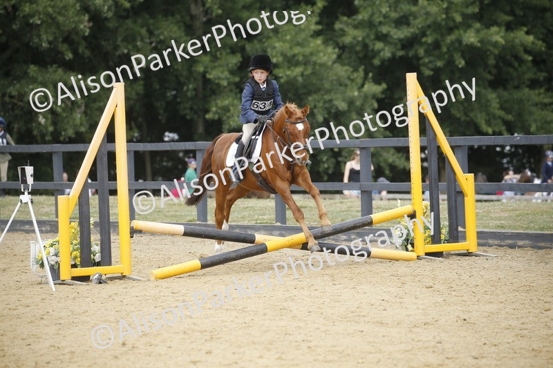 20250622-3990 - 50cm